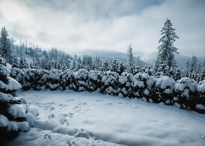 Διαμέρισμα Visitzakopane - Janosik Ζακοπάνε