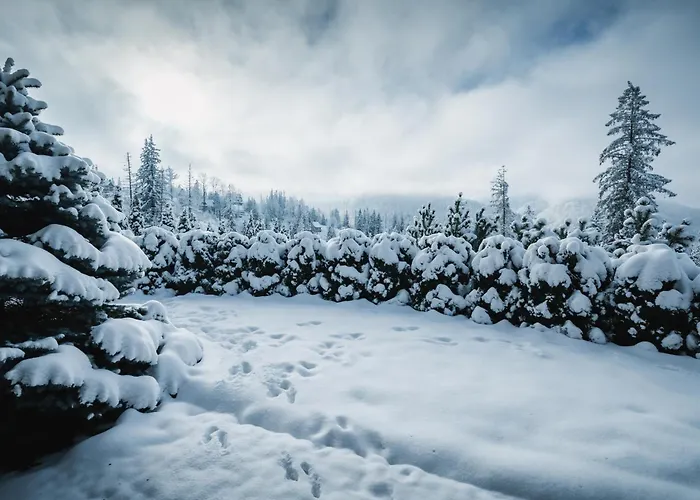 Διαμέρισμα Visitzakopane - Janosik