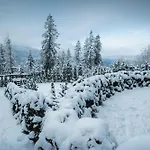 Visitzakopane - Janosik Apartman *