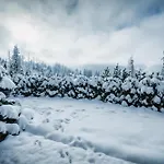 Apartman Visitzakopane - Janosik