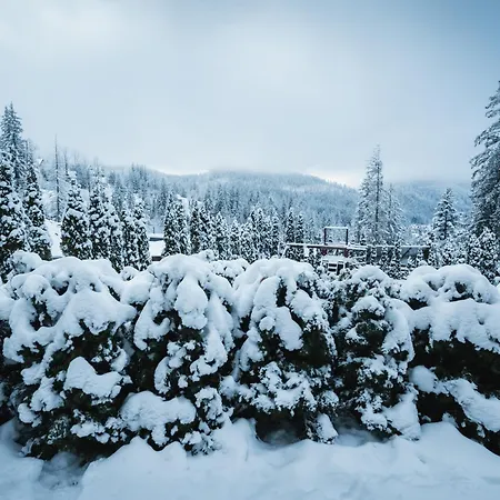 Apartman Visitzakopane - Janosik *