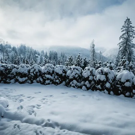 شقة Visitzakopane - Janosik زاكوباني