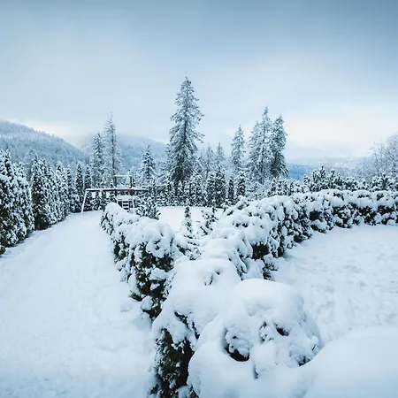 شقة Visitzakopane - Janosik