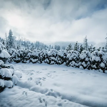 아파트 Visitzakopane - Janosik