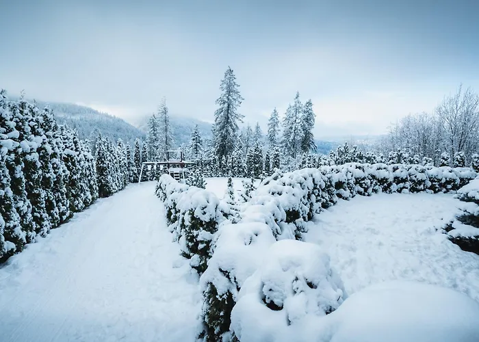 Appartamento Visitzakopane - Janosik